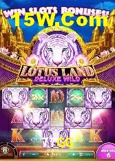 Apostas de Tênis 77GG